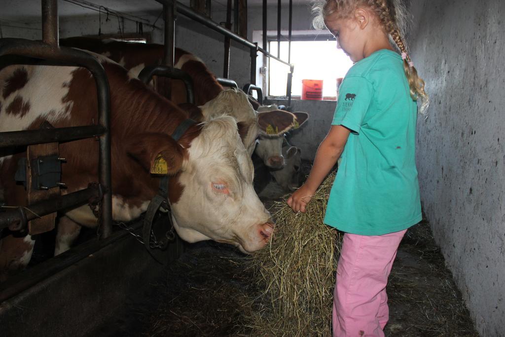 Farm stay Familienbauernhof Christa Rossleithen