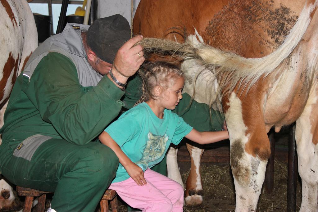 Farm stay Familienbauernhof Christa *