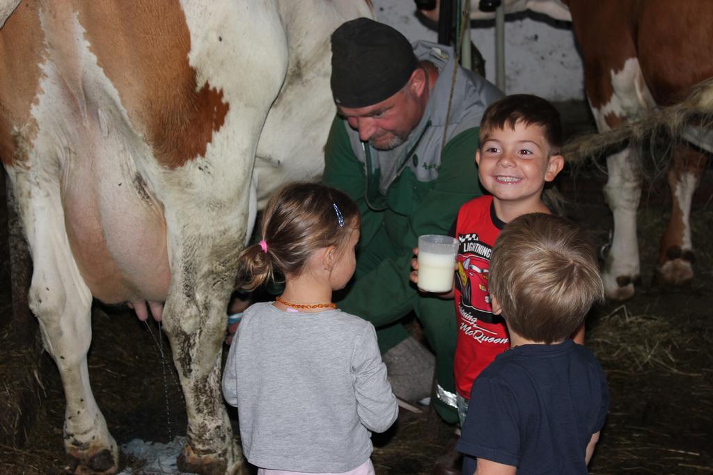 Familienbauernhof Christa Farm stay Rossleithen