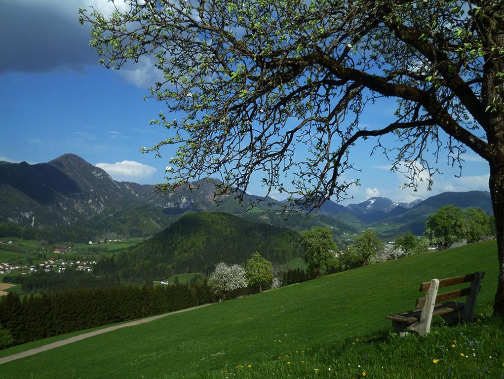 Familienbauernhof Christa Farm stay