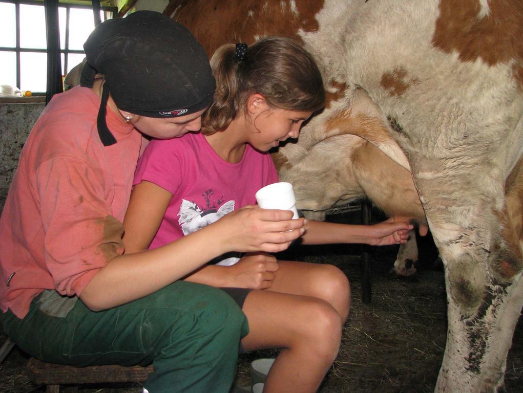 Farm stay Familienbauernhof Christa Rossleithen