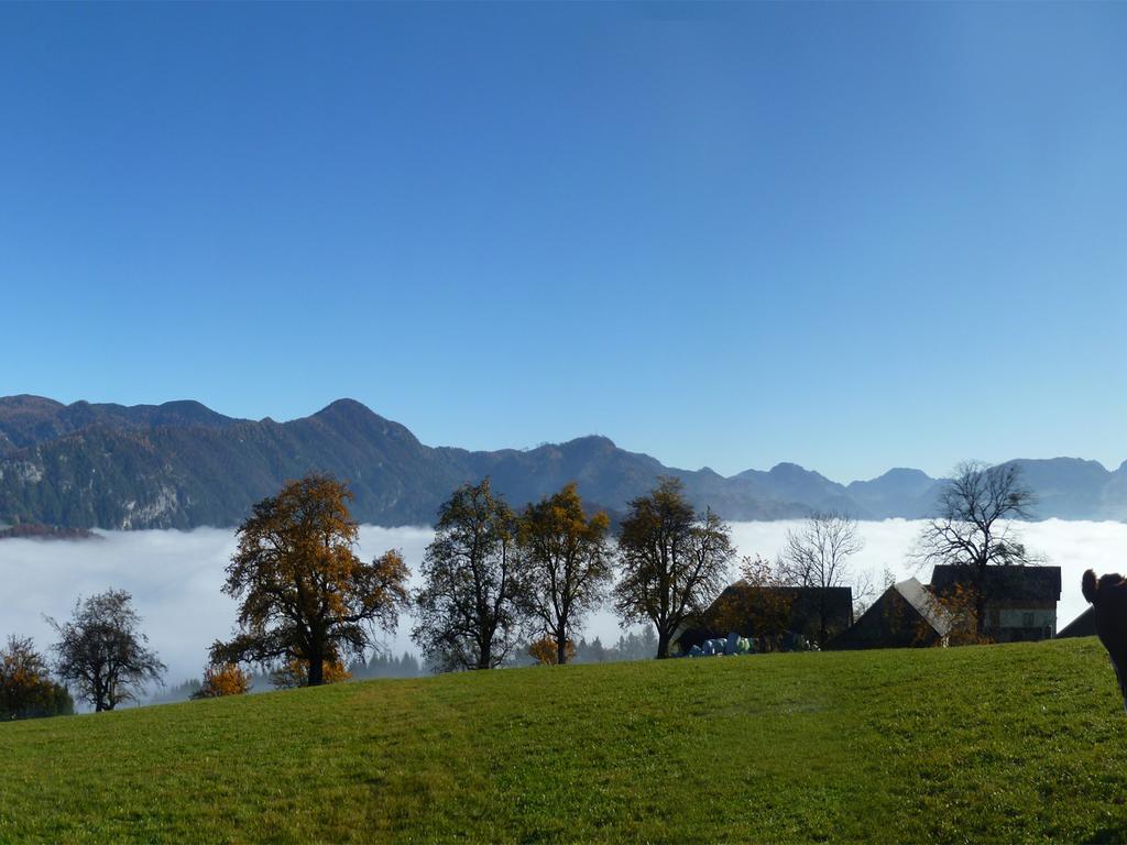 Familienbauernhof Christa Farm stay Rossleithen